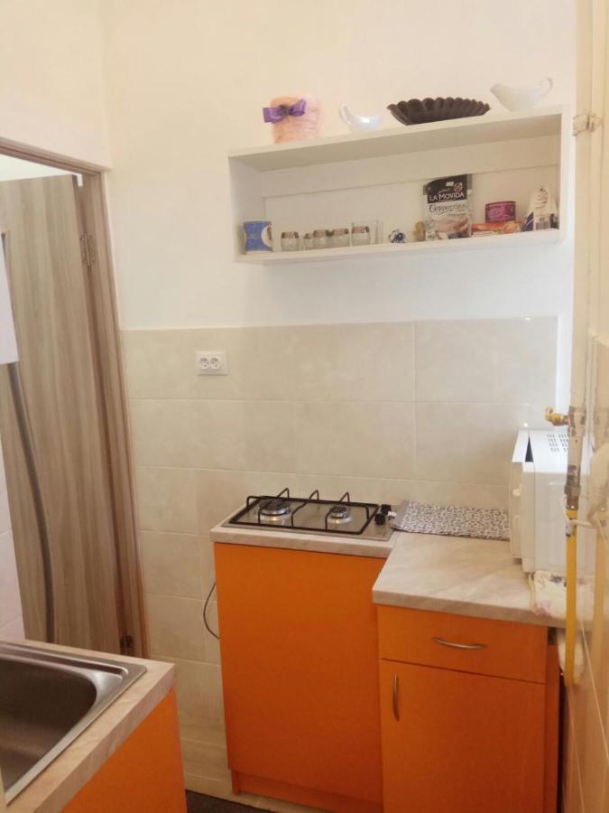 Apartment Kostuskry Str. リヴィウ エクステリア 写真